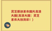 灵芝原创素衣图片高清大图(高清大图：灵芝素衣大放异彩！)
