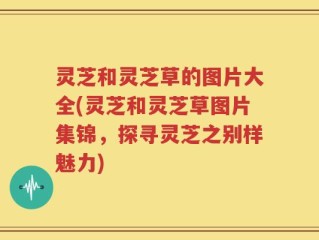 灵芝和灵芝草的图片大全(灵芝和灵芝草图片集锦，探寻灵芝之别样魅力)