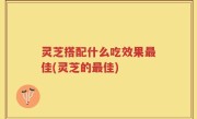 灵芝搭配什么吃效果最佳(灵芝的最佳)