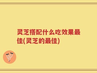 灵芝搭配什么吃效果最佳(灵芝的最佳)
