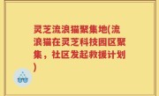 灵芝流浪猫聚集地(流浪猫在灵芝科技园区聚集，社区发起救援计划)