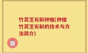 竹灵芝石斛种植(种植竹灵芝石斛的技术与方法简介)