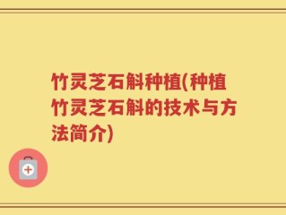 竹灵芝石斛种植(种植竹灵芝石斛的技术与方法简介)