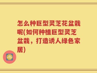 怎么种巨型灵芝花盆栽呢(如何种植巨型灵芝盆栽，打造诱人绿色家居)