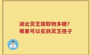 湖北灵芝提取物多糖？哪里可以买到灵芝孢子