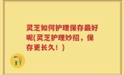 灵芝如何护理保存最好呢(灵芝护理妙招，保存更长久！)