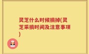 灵芝什么时候摘掉(灵芝采摘时间及注意事项)