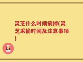 灵芝什么时候摘掉(灵芝采摘时间及注意事项)