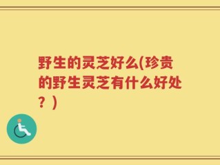 野生的灵芝好么(珍贵的野生灵芝有什么好处？)