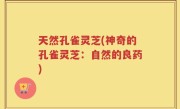 天然孔雀灵芝(神奇的孔雀灵芝：自然的良药)
