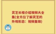 灵芝长相介绍视频大全集(全方位了解灵芝的外观形态：视频集锦)
