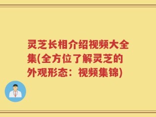 灵芝长相介绍视频大全集(全方位了解灵芝的外观形态：视频集锦)