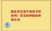 鹿角灵芝是不喷孢子粉的吗？灵芝的种植和养殖方法