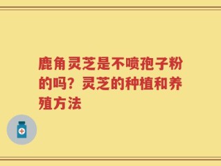 鹿角灵芝是不喷孢子粉的吗？灵芝的种植和养殖方法