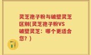 灵芝孢子粉与破壁灵芝区别(灵芝孢子粉VS破壁灵芝:哪个更适合您?)