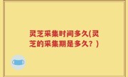 灵芝采集时间多久(灵芝的采集期是多久？)