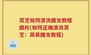灵芝如何清洗图文教程图片(如何正确清洗灵芝：简易图文教程)