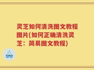 灵芝如何清洗图文教程图片(如何正确清洗灵芝：简易图文教程)