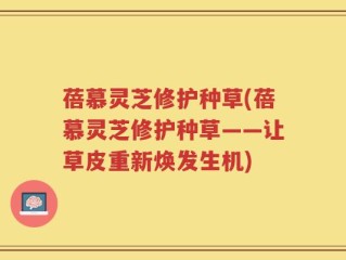 蓓慕灵芝修护种草(蓓慕灵芝修护种草——让草皮重新焕发生机)