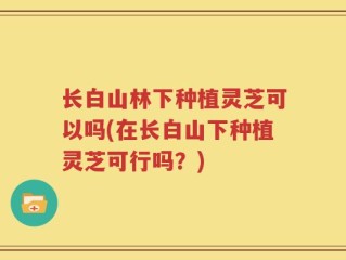 长白山林下种植灵芝可以吗(在长白山下种植灵芝可行吗？)