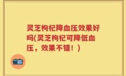 灵芝枸杞降血压效果好吗(灵芝枸杞可降低血压，效果不错！)
