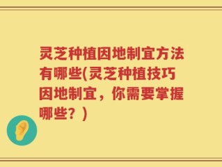 灵芝种植因地制宜方法有哪些(灵芝种植技巧因地制宜，你需要掌握哪些？)
