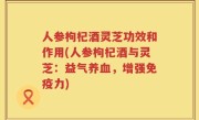 人参枸杞酒灵芝功效和作用(人参枸杞酒与灵芝：益气养血，增强免疫力)