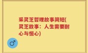 采灵芝哲理故事简短(灵芝故事：人生需要耐心与恒心)