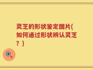 灵芝的形状鉴定图片(如何通过形状辨认灵芝？)