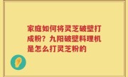 家庭如何将灵芝破壁打成粉？九阳破壁料理机是怎么打灵芝粉的