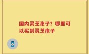 国内灵芝孢子？哪里可以买到灵芝孢子