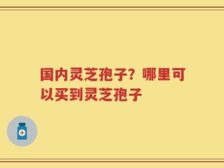 国内灵芝孢子？哪里可以买到灵芝孢子