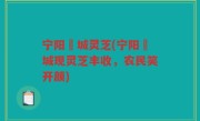 宁阳堽城灵芝(宁阳堽城现灵芝丰收，农民笑开颜)