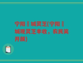 宁阳堽城灵芝(宁阳堽城现灵芝丰收，农民笑开颜)