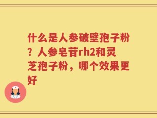 什么是人参破壁孢子粉？人参皂苷rh2和灵芝孢子粉，哪个效果更好