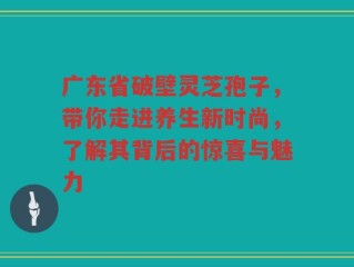 广东省破壁灵芝孢子，带你走进养生新时尚，了解其背后的惊喜与魅力