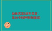 幼体灵芝(幼年灵芝：生长中的神奇奇遇记)