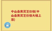 中山桑黄灵芝价格(中山桑黄灵芝价格大幅上涨)