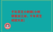 千年灵芝小刺猬(小刺猬重返江湖，千年灵芝成就大业)