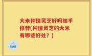 大米种植灵芝好吗知乎推荐(种植灵芝的大米有哪些好处？)
