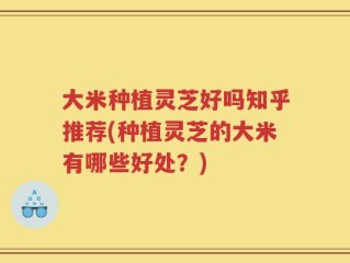 大米种植灵芝好吗知乎推荐(种植灵芝的大米有哪些好处？)