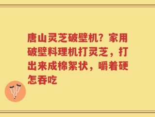 唐山灵芝破壁机？家用破壁料理机打灵芝，打出来成棉絮状，嚼着硬怎吞吃