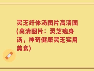 灵芝纤体汤图片高清图(高清图片：灵芝瘦身汤，神奇健康灵芝实用美食)