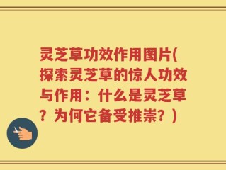 灵芝草功效作用图片(探索灵芝草的惊人功效与作用：什么是灵芝草？为何它备受推崇？)