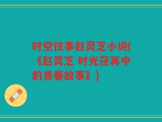 时空往事赵灵芝小说(《赵灵芝 时光荏苒中的青春故事》)