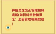 种植灵芝怎么管理视频讲解(如何科学种植灵芝：全面管理视频教程)