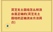灵芝无土栽培怎么样浇水是正确的(灵芝无土栽培的正确浇水方法简介)