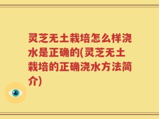 灵芝无土栽培怎么样浇水是正确的(灵芝无土栽培的正确浇水方法简介)