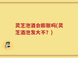 灵芝泡酒会膨胀吗(灵芝酒泡发大不？)