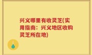 兴义哪里有收灵芝(实用指南：兴义地区收购灵芝所在地)